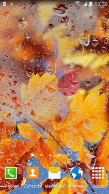 Autumn Live Wallpaper HD android App screenshot 8